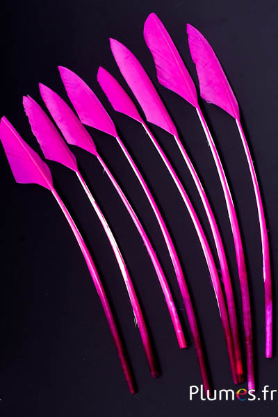 Cygne lame flèche - 24-28 cm - fuchsia-blanc